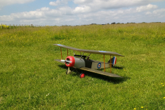 pete-biplane-2