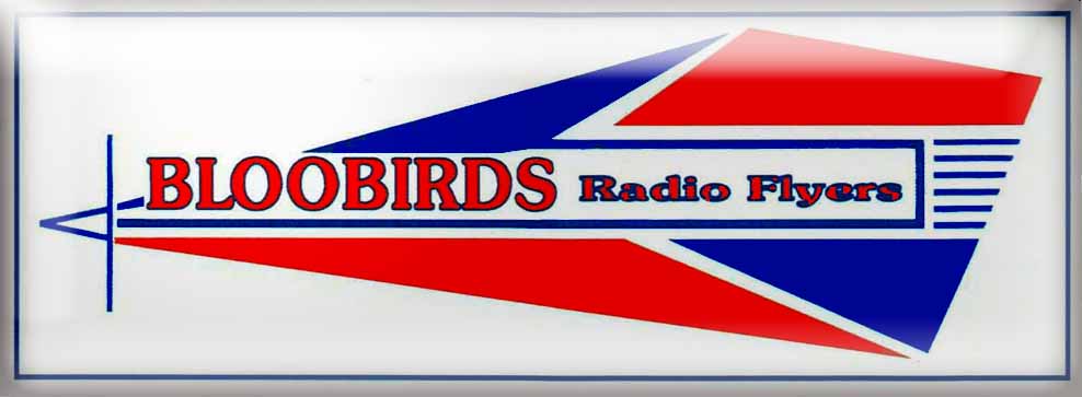 Bloobirds Radio Flyers
